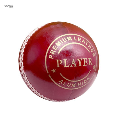 Player Red Cricket Ball Player Red Cricket Ball